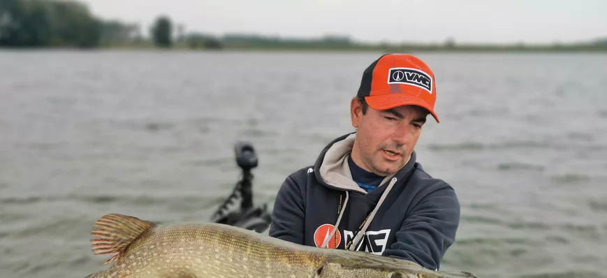 Les leurres de l’été (4) : le shad, en texan à pal