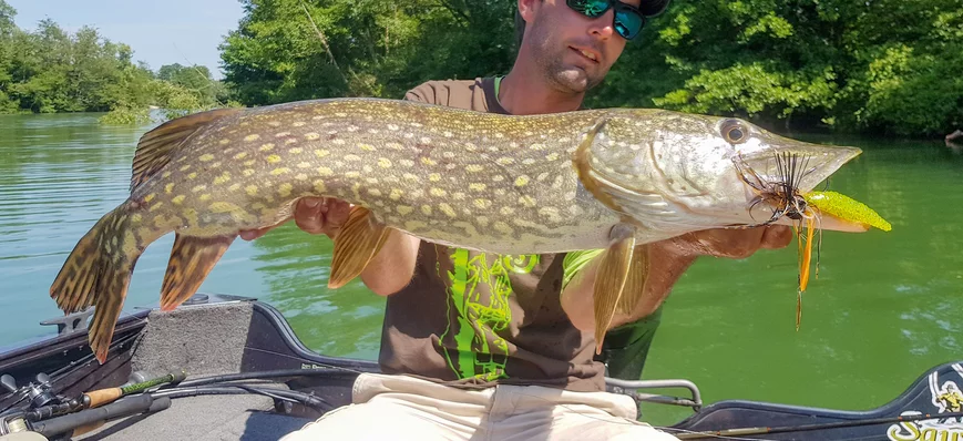 Les leurres de l’été (1) : texas et rubber jig