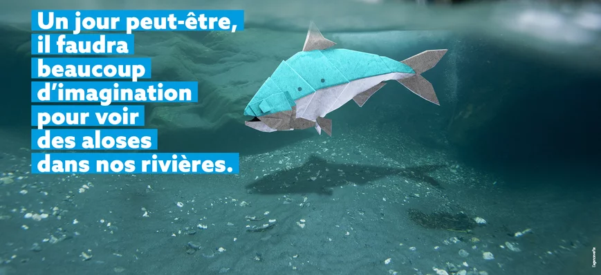 "Sauvons nos rivières" : la FNPF lance l'acte 2