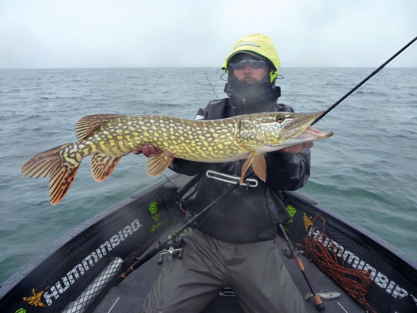 Vidéo / Quels leurres pour pêcher le Brochet en début de saison