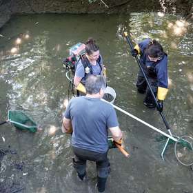 1600 poissons sauvés en urgence en Savoie