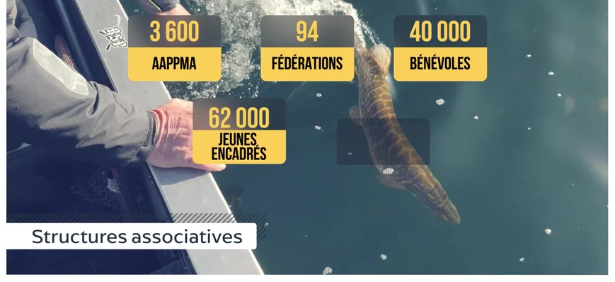 [ETUDE] Les vrais chiffres de la pêche en France e