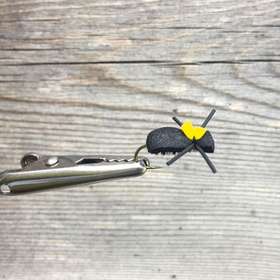Une mouche à truites et chevesne : le scarabée