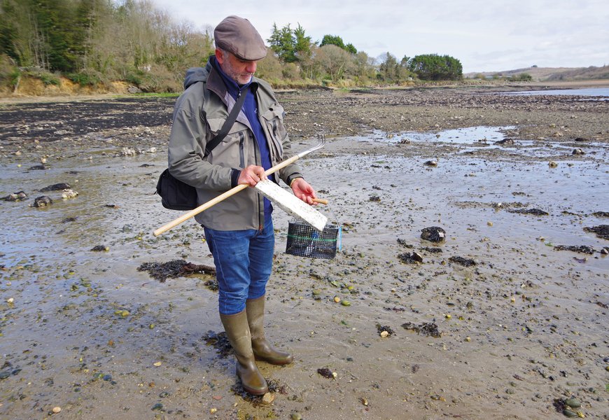 Les résolutions du pêcheur responsable en mer Peche et Poissons Carnassiers carpe