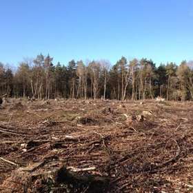 Une Charte de l’exploitation en forêt privée naît dans le Morbihan