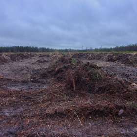 Requiem pour un sol en forêt domaniale d'Orléans