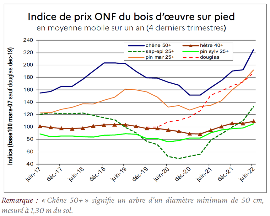 ONFsurpied.png