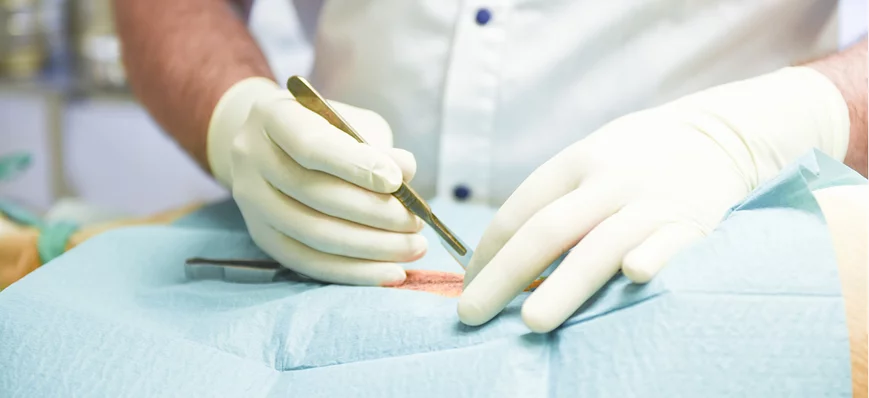 Devenir spécialiste : le but ultime de tout vétéri