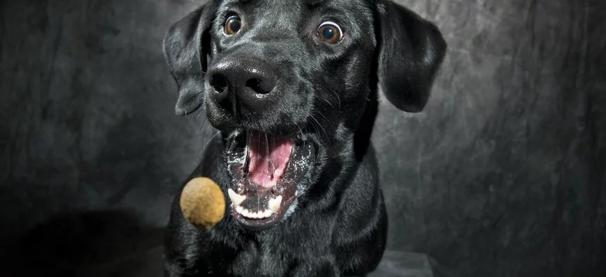 Vous n’avez que 48h pour remettre à vos salarié·e·