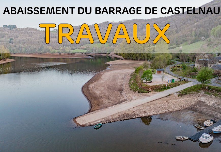 Pompe à Estomac Pour Pêche à La Truite - Longueur 18,5 Cm, Diamètre 0,6 Cm, Outil D'analyse Des Appâts