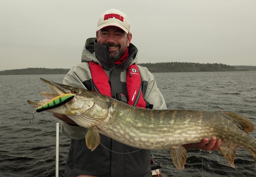 [LET'S GO FISHING] Pêche du brochet en lac avec le coloris Vintage Perch Peche et Poissons