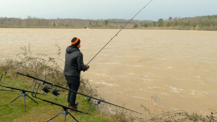 Pêcher la carpe en eaux troubles