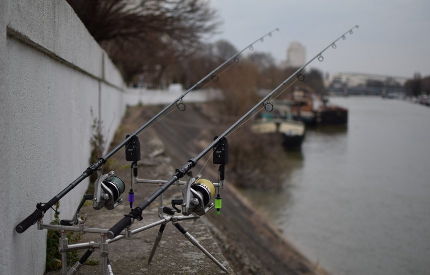 La pêche de la carpe en Seine