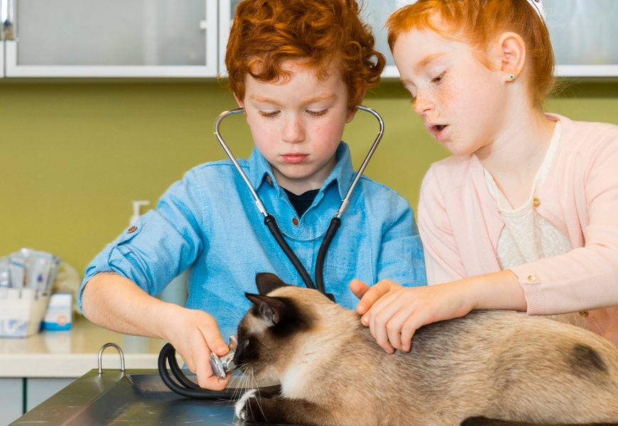 Conseilleriez-vous votre métier de vétérinaire à vos enfants ? - Temavet