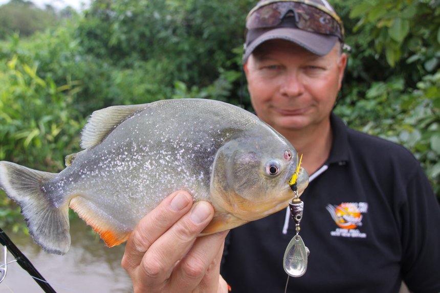 Peche du piranha à la cuiller