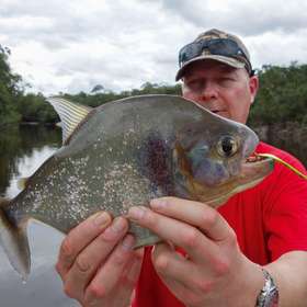 Où et comment pêcher le piranha carnivore