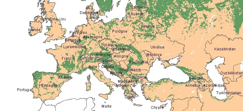 Quatre pays de l’UE créent For Forest pour défendr