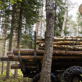 Crise énergétique : la réquisition des forêts et du bois envisagée en Finlande