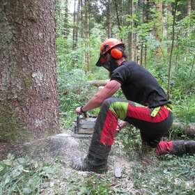Ain : une 5e session de formation aux métiers forestiers débutera en janvier