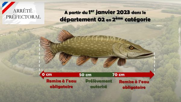 Tuto pêche au coup: le matériel - Fédération de pêche du Rhône