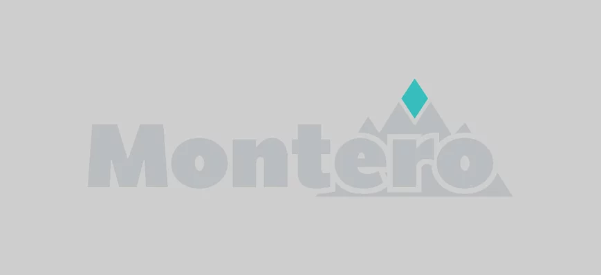 Arbitrage du CIRDI entre Montero et la Tanzanie