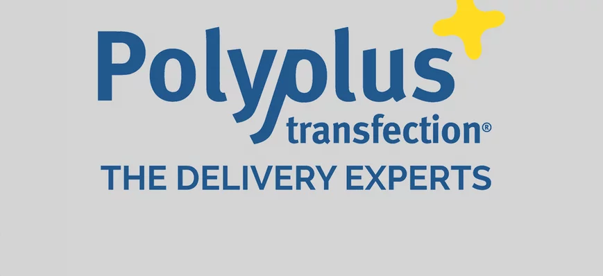Recapitalisation pour Polyplus