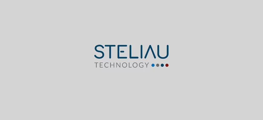 LBO pour Steliau Technology