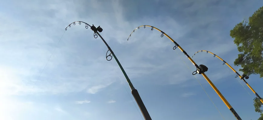 La pêche du silure au cassant en hiver : ça marche