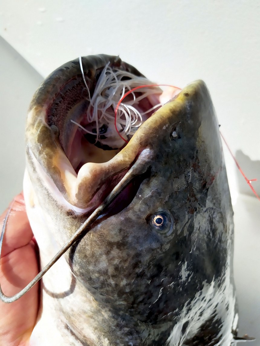 Chatterbait: comment bien pêcher avec ce leurre ? Leurre de prospection