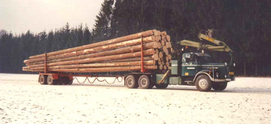 Sortons du bois ces fort longs troncs