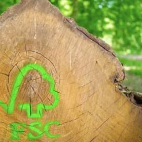 Forêt : 2e consultation publique pour la révision du référentiel FSC France