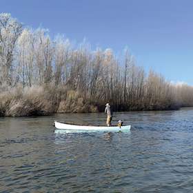 Pêche du brochet aux streamers sur la Dordogne