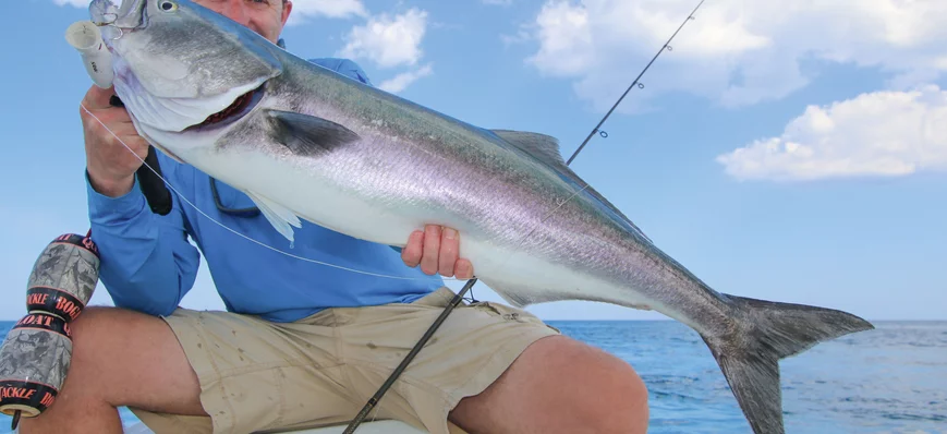 La pêche du tassergal, un féroce combattant !