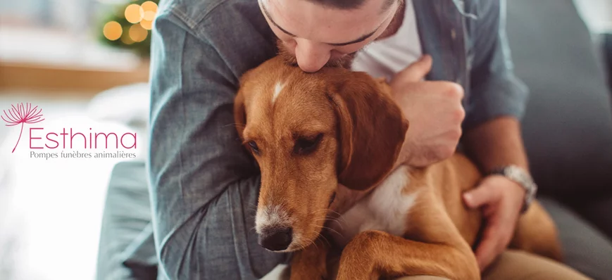 Accompagner le deuil animalier : le rôle essentiel