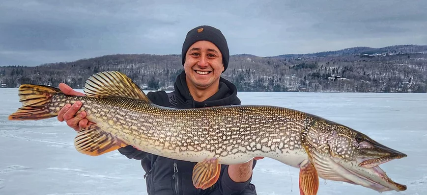 Pêche blanche : les belles photos d'un brochet de