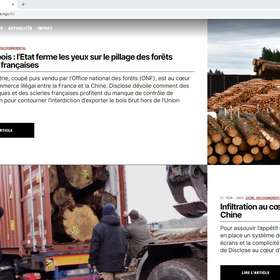 Le média d’investigation Disclose a enquêté sur les exportations de chêne