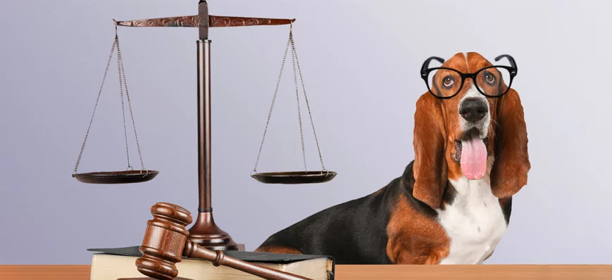 Le Point J - Épisode #5