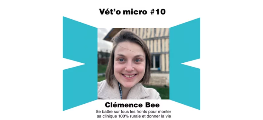 Épisode #10 - Clémence Bee - Se battre sur tous le