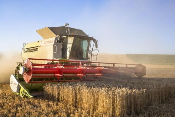 La hausse des stocks de blé européen fait grimper les stocks mondiaux à 295 Mt © Agritel