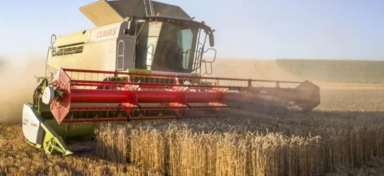 Diminution de la production de grain en Europe