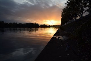 Pêche itinérante d'automne en fleuve urbain