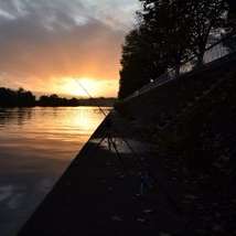 Pêche itinérante de la carpe en automne sur un fleuve urbain