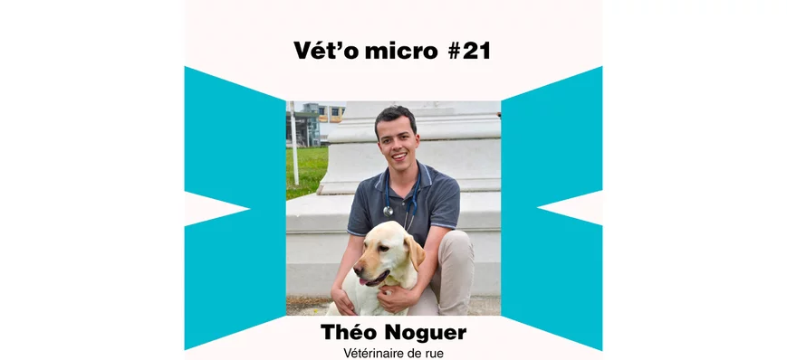 Épisode #21 - Théo Noguer - Vétérinaire de rue