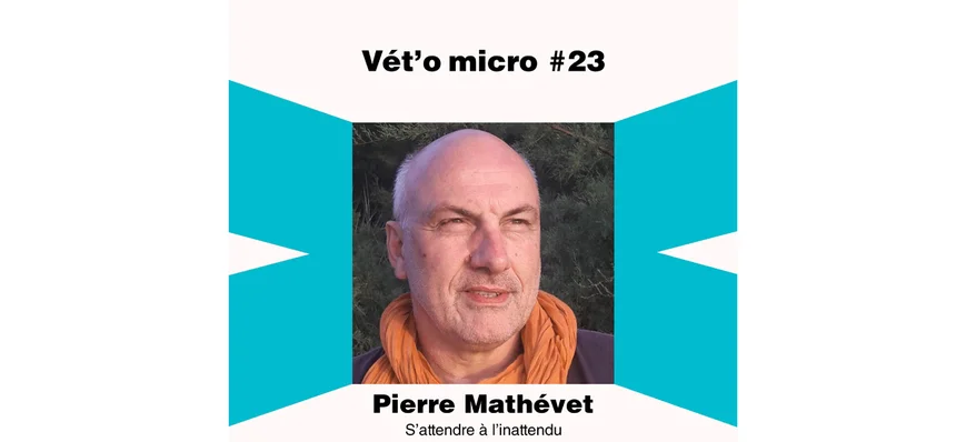 Épisode #23 - Pierre Mathévet - S’attendre à l’ina