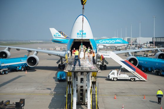 L'activité cargo d'Air France-KLM est en nette baisse comparée à l'an dernier © KLM
