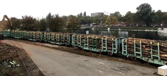 MTS : l’atout du multimodal à Strasbourg