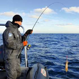 La pêche à soutenir des calamars