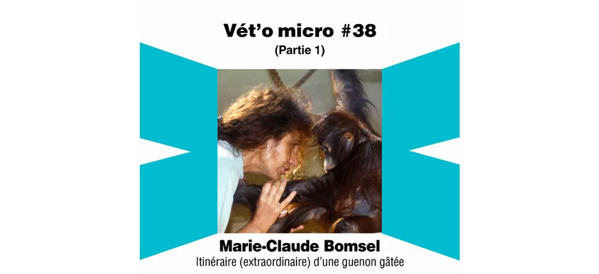 Épisode #38 - Marie-Claude Bomsel - Itinéraire (ex