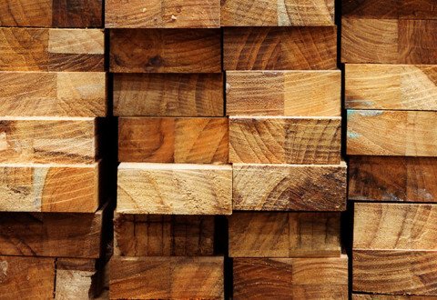 about-certified-tropical-timber.jpg