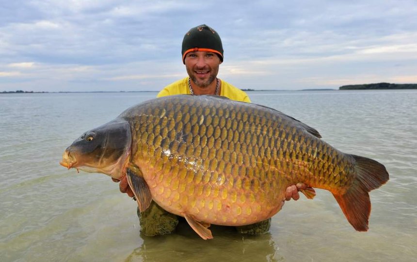 Le lac du Der, un réservoir à carpes géantes ?